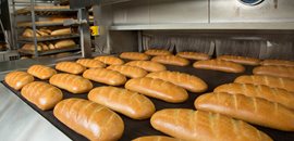 Bakeries, Bakery Plants