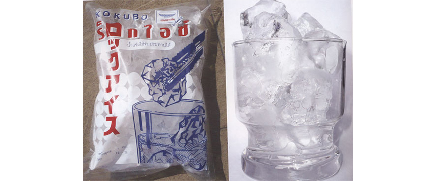 Stainless-Steel Trough Screw Conveyors for Rock Ice _2