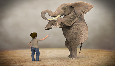 Wide set of components and options